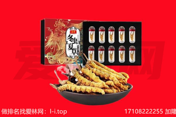 武威市天祝回收虫草.jpg